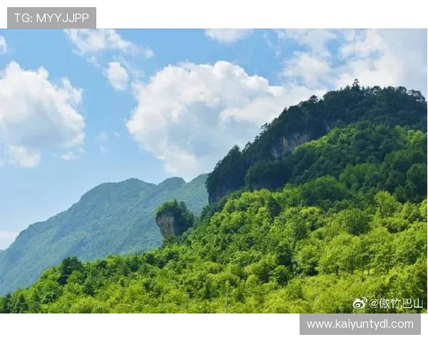 探秘开云kaiyun官网,让你更好地利用其功能与资源